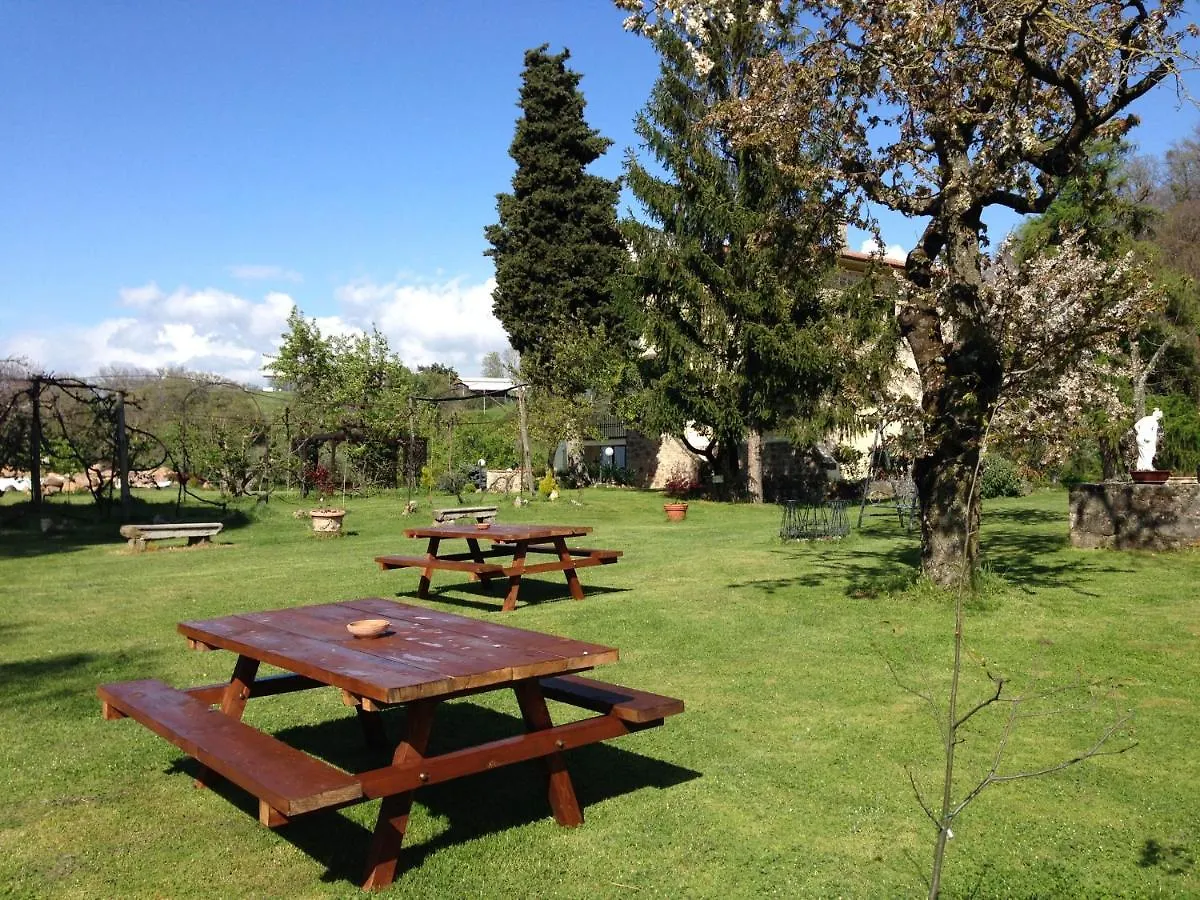 San Processo Agriturismo Castel del Piano  Gospodarstwo agroturystyczne