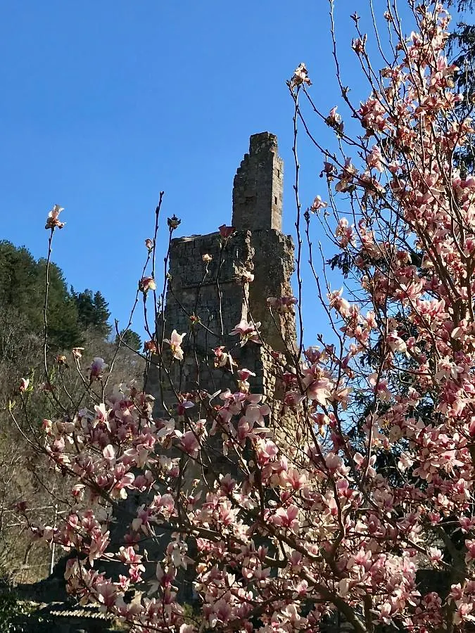 San Processo Agriturismo Castel del Piano
