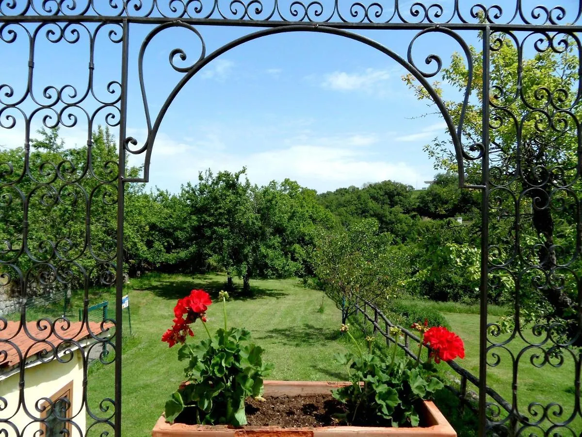 San Processo Agriturismo Castel del Piano  Farm stay
