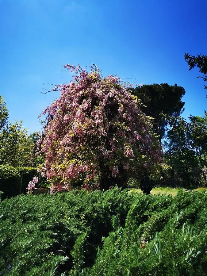 Gospodarstwo agroturystyczne San Processo Agriturismo Castel del Piano