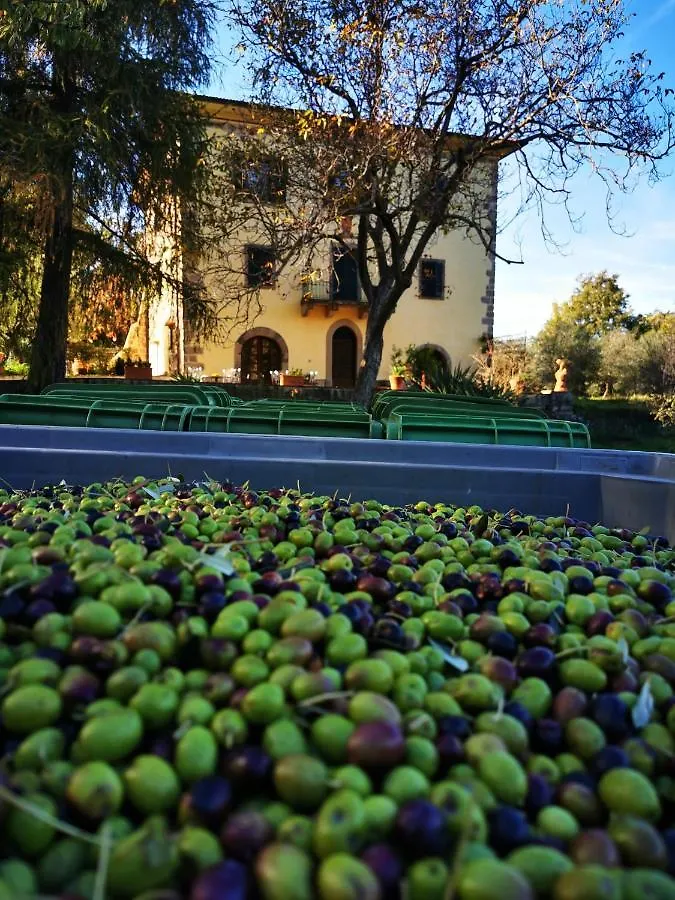 Farm stay San Processo Agriturismo Castel del Piano