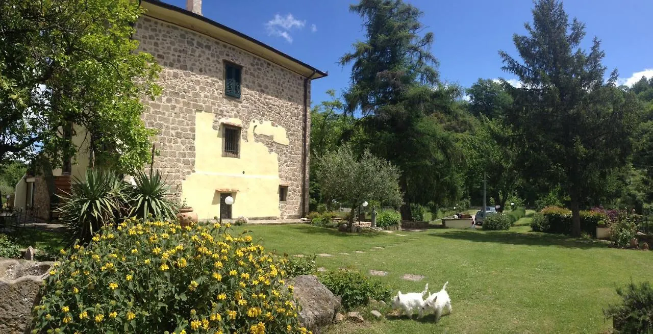 Farm stay San Processo Agriturismo Castel del Piano
