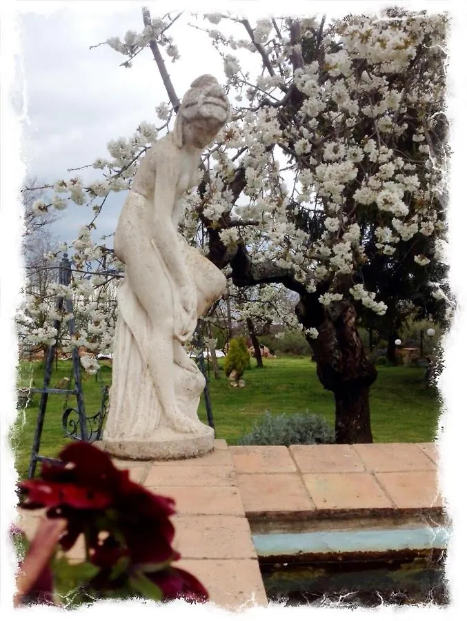 San Processo Agriturismo Castel del Piano  Farm stay Castel del Piano (Tuscany)