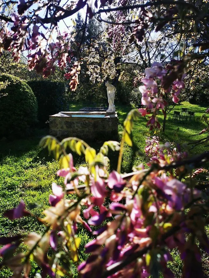 San Processo Agriturismo Castel del Piano  Farm stay Castel del Piano (Tuscany)